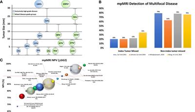 Integrating biomarkers and multi-parametric MRI to provide enhanced clinical diagnosis for prostate cancer